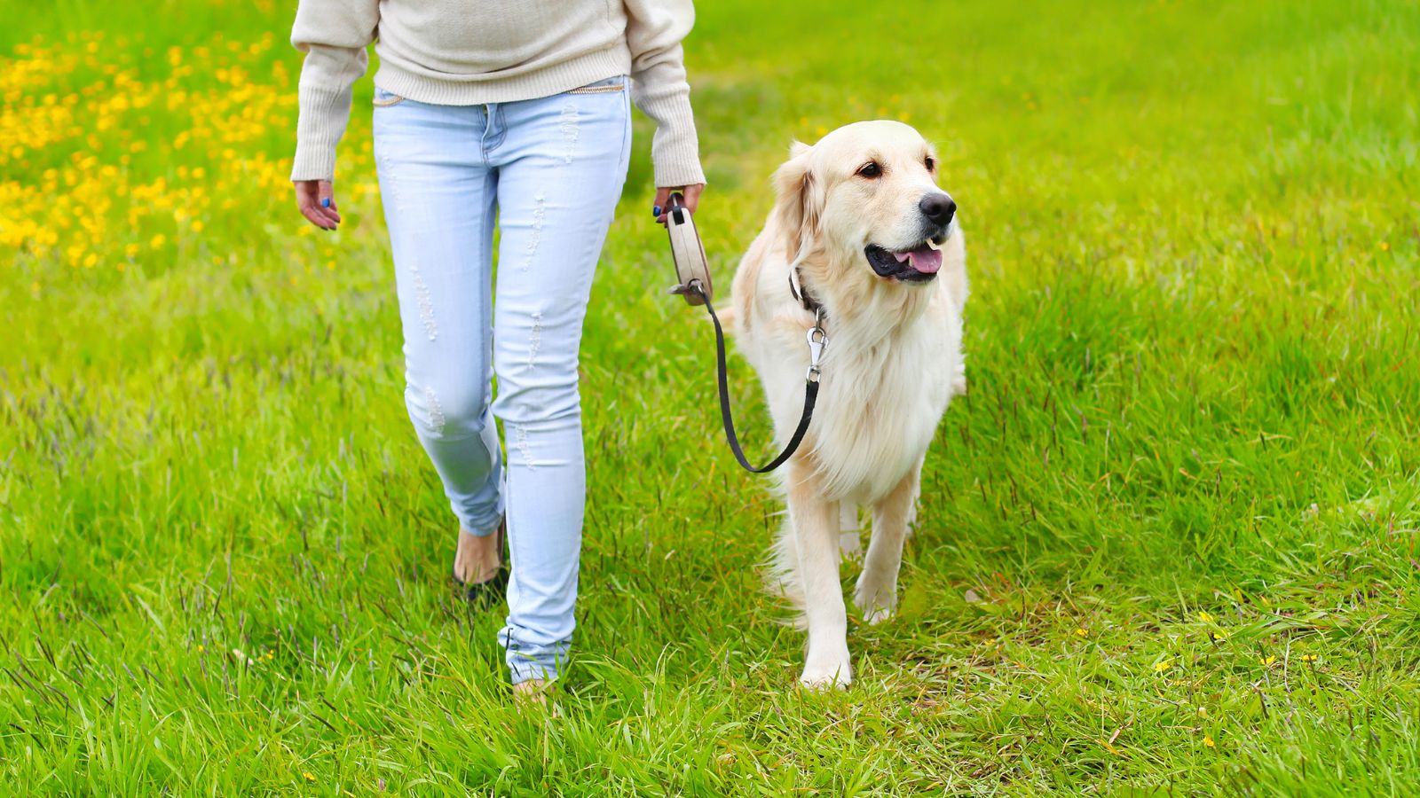 Woman walking with her dog outdoors.