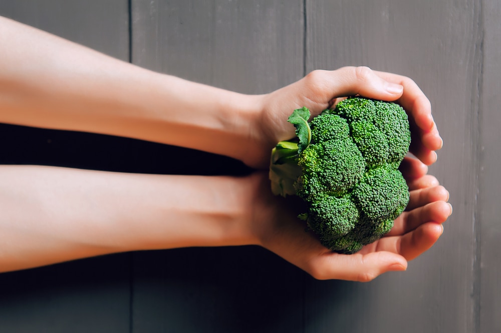 A person holding a head of broccoli in their hands.