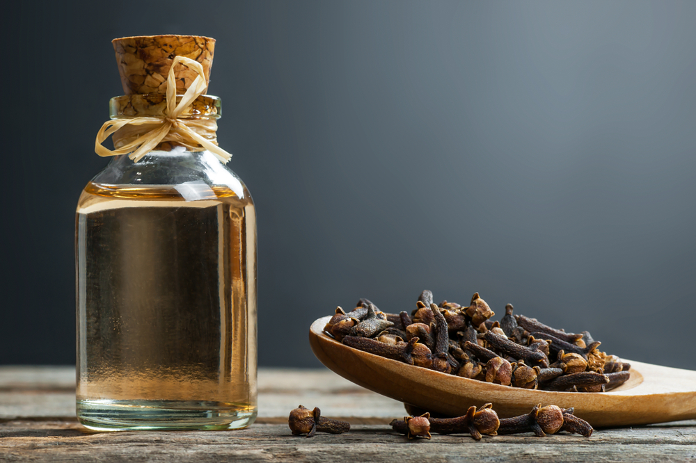 Close up glass bottle of clove oil and cloves in wooden spoon on wooden table. 